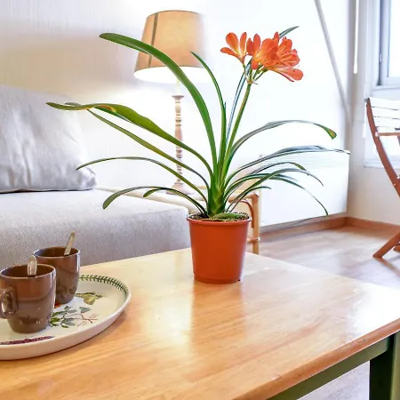 Le Polo-1 By Interhome